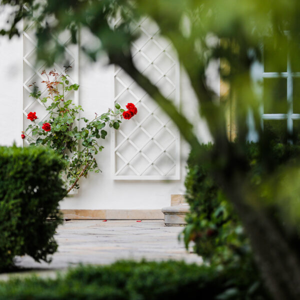 Schloß Maierhofen, Rosen auf der Terrasse