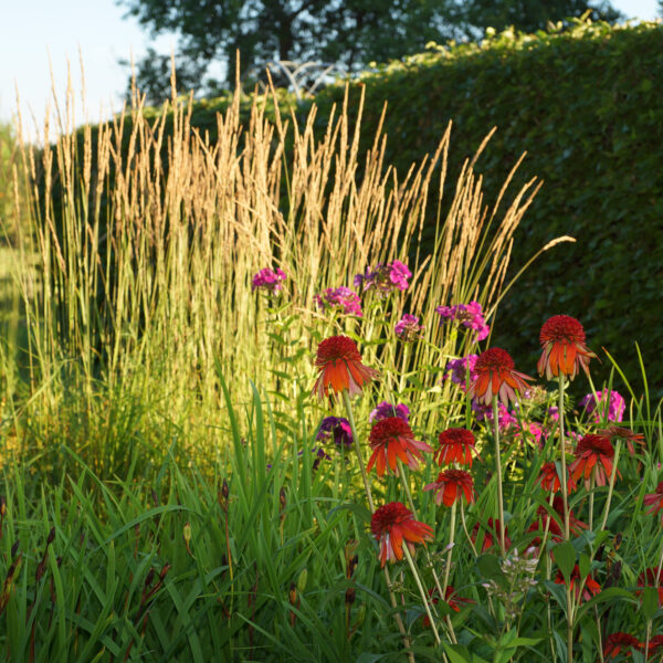 Schloß Maierhofen, Sommerbeete im Park
